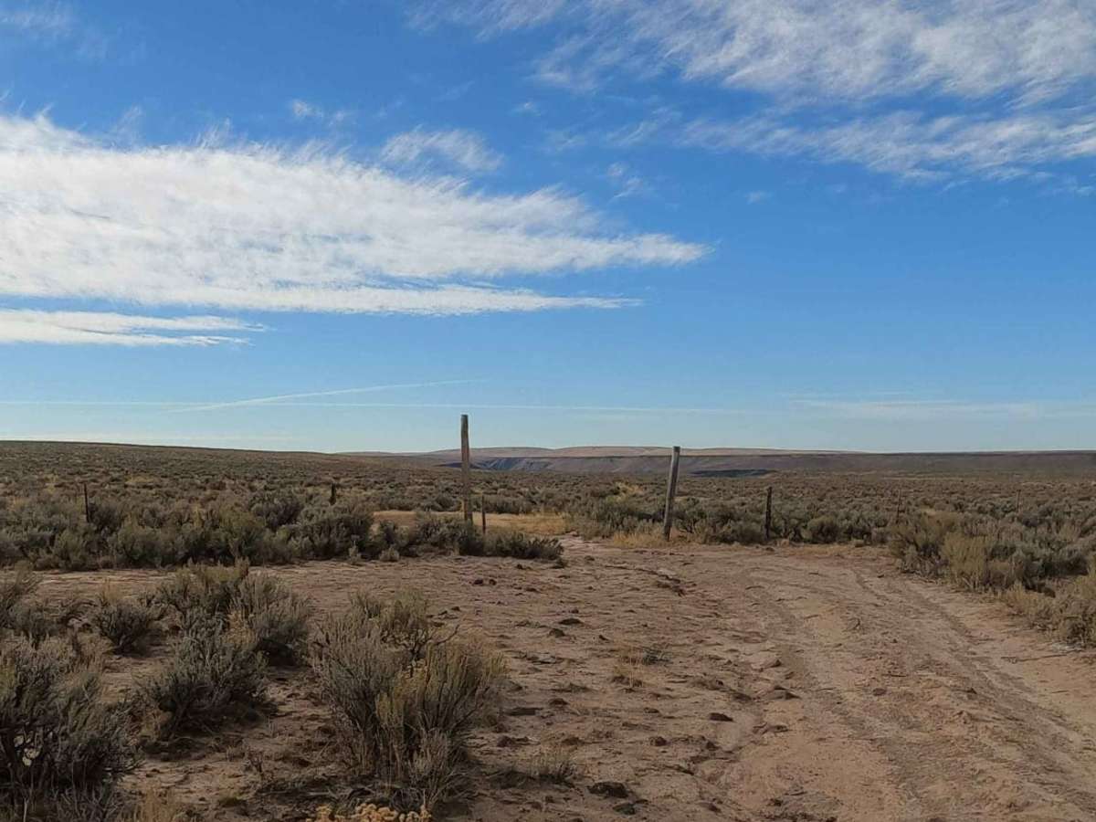 Crutcher's Crossing Cherrystem photo 2