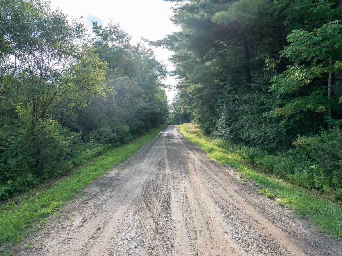 Briggs Road trail photo