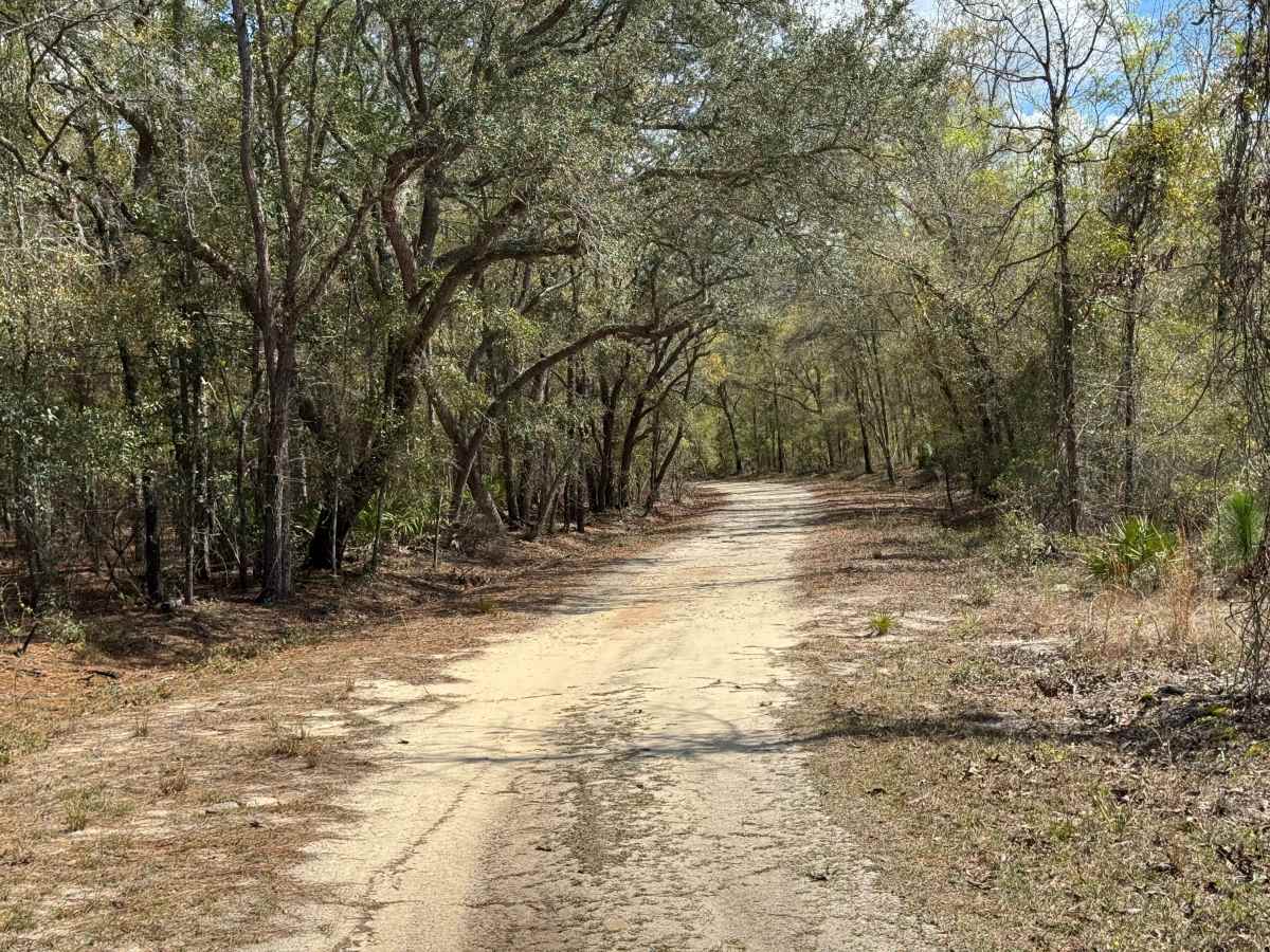 Ole Hell Road photo 4