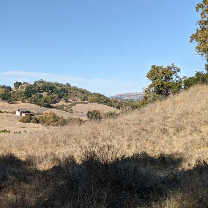 Near Snell Barn Loop