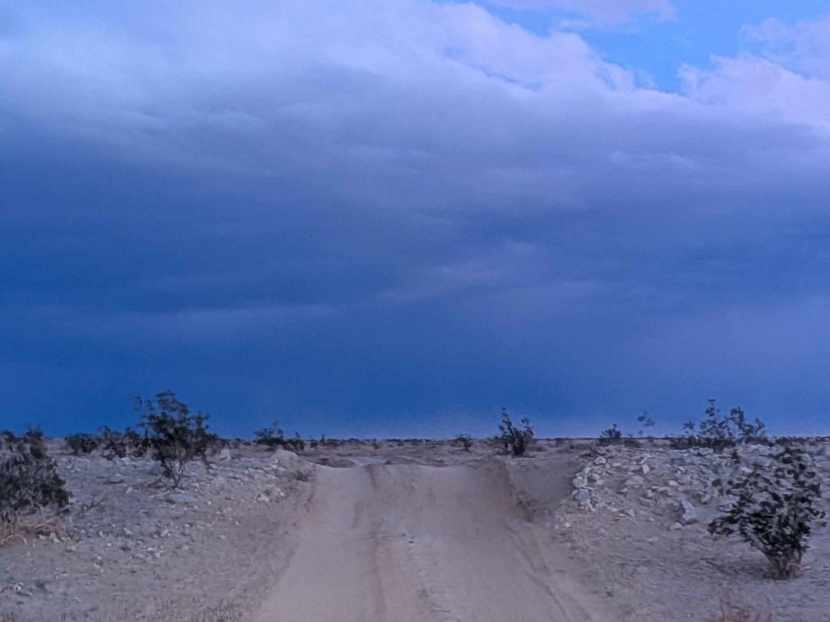 BLM 197 photo 5