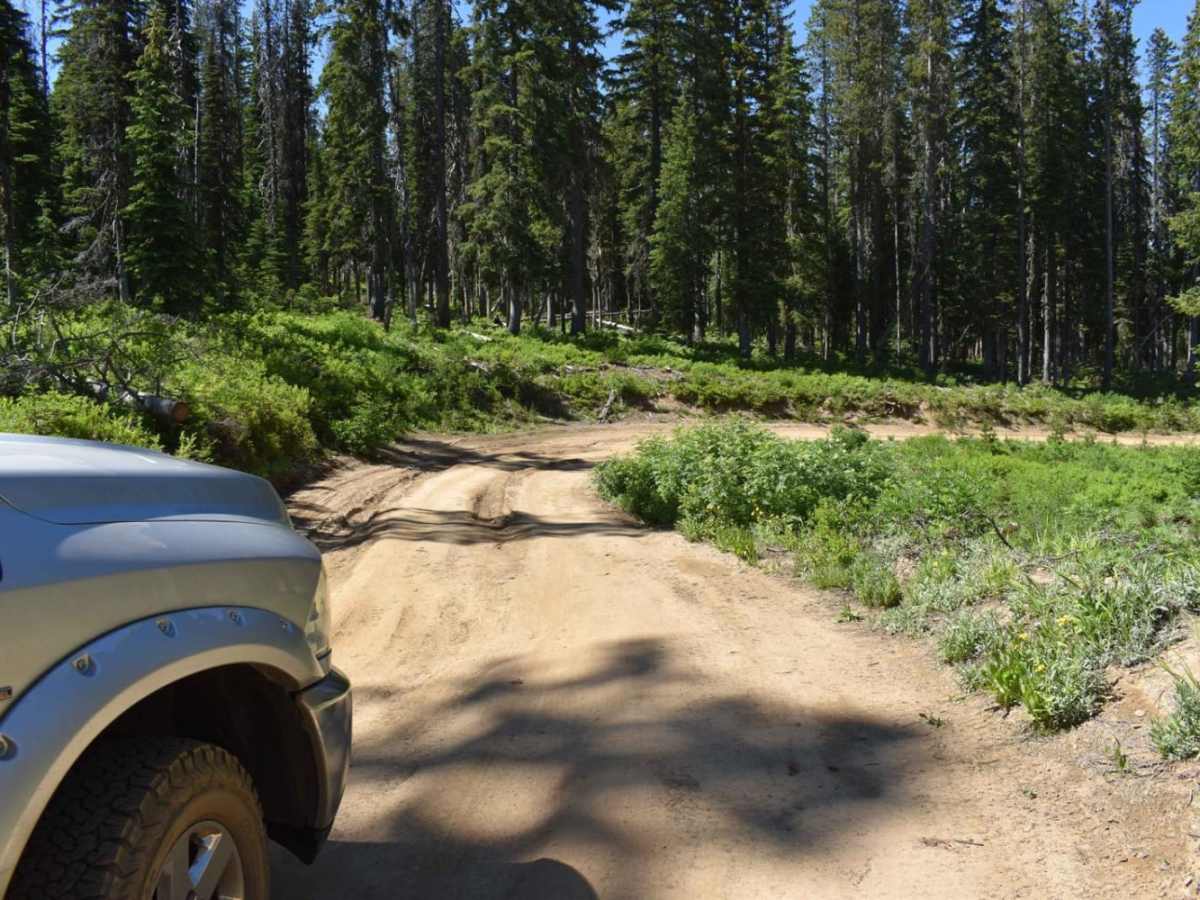 Jubilee to Tiger Creek photo 3