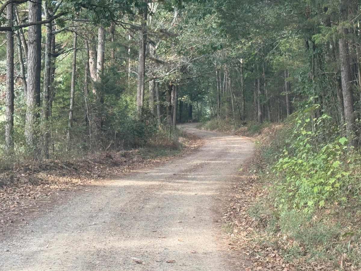 Polk Road 301 photo 5