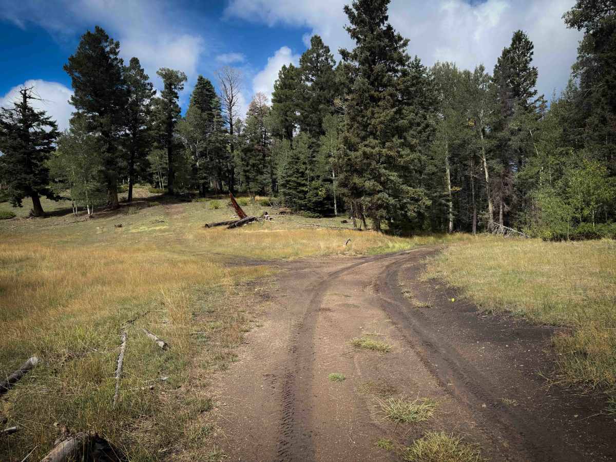 Bear Canyon Trail 28 photo 5