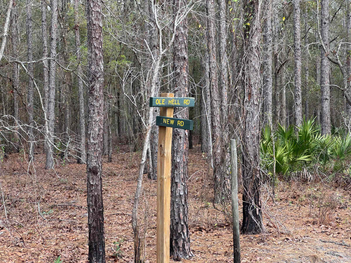 Ole Hell Road photo 6