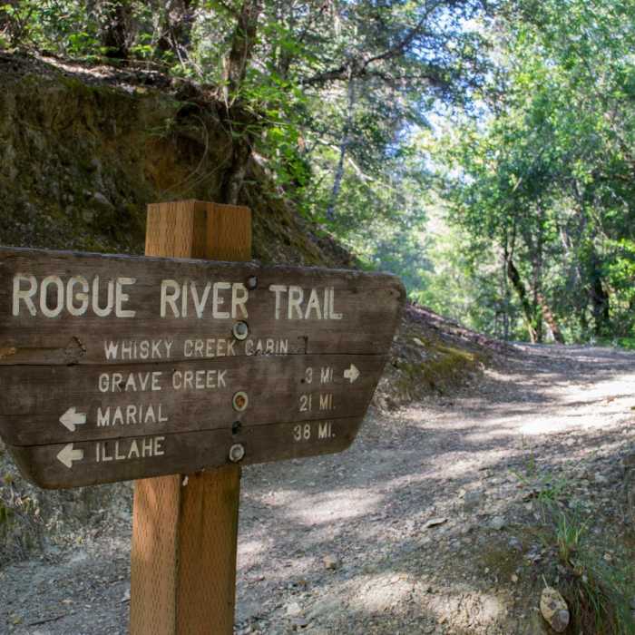 Near Whisky Creek Cabin