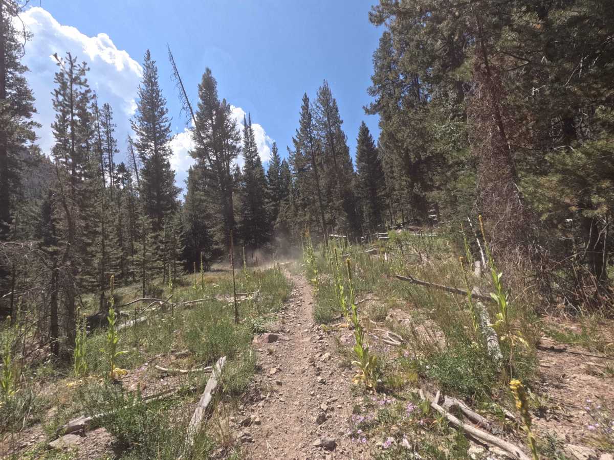 Germania Creek - FS 7111 photo 2