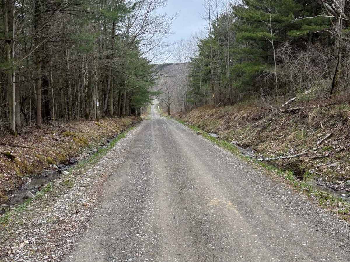 Fisher Road photo 4