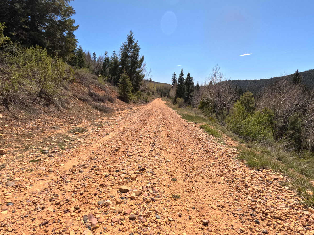 Paunsaugunt  trail photo