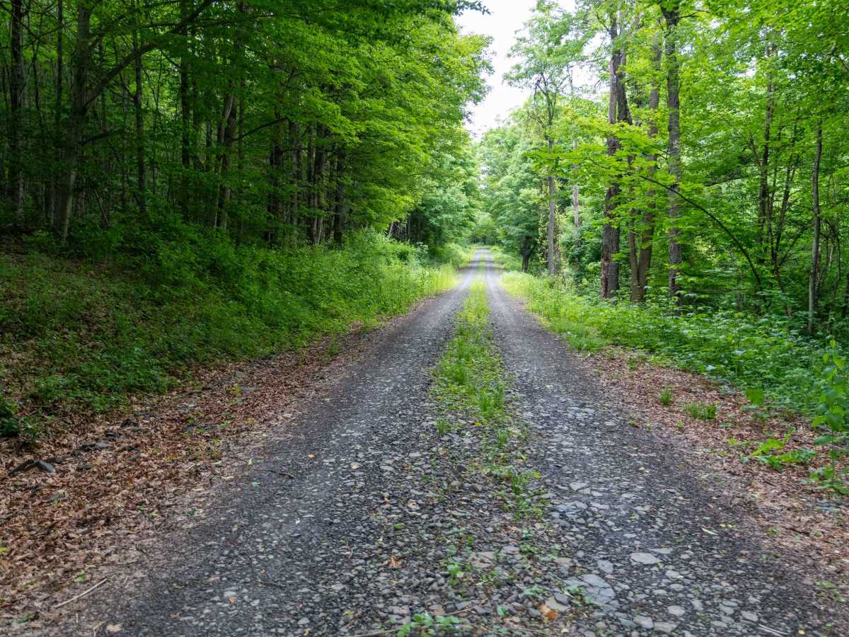 Truck Trail 13 trail photo