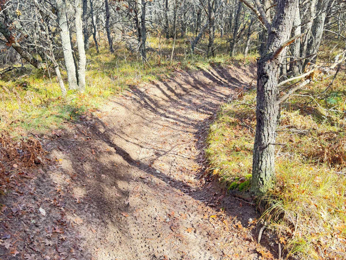 Ambrose Lake to Rose City Trail trail photo