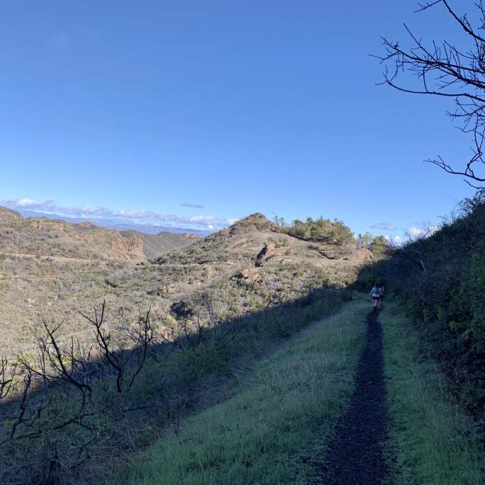 Near Backbone Trail: Kanan Dume Road to Mishe Mokwa