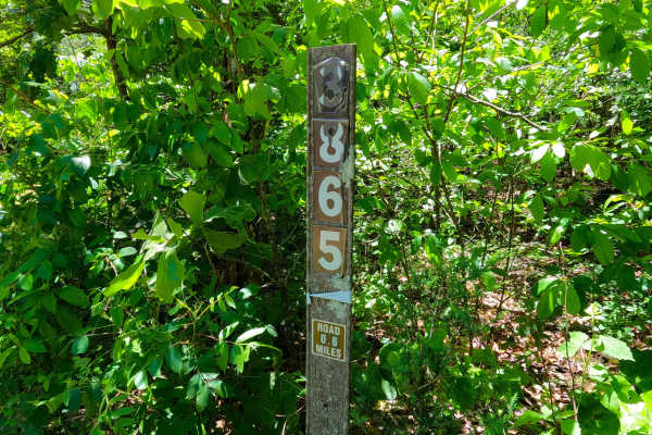 Spot - FS 3865