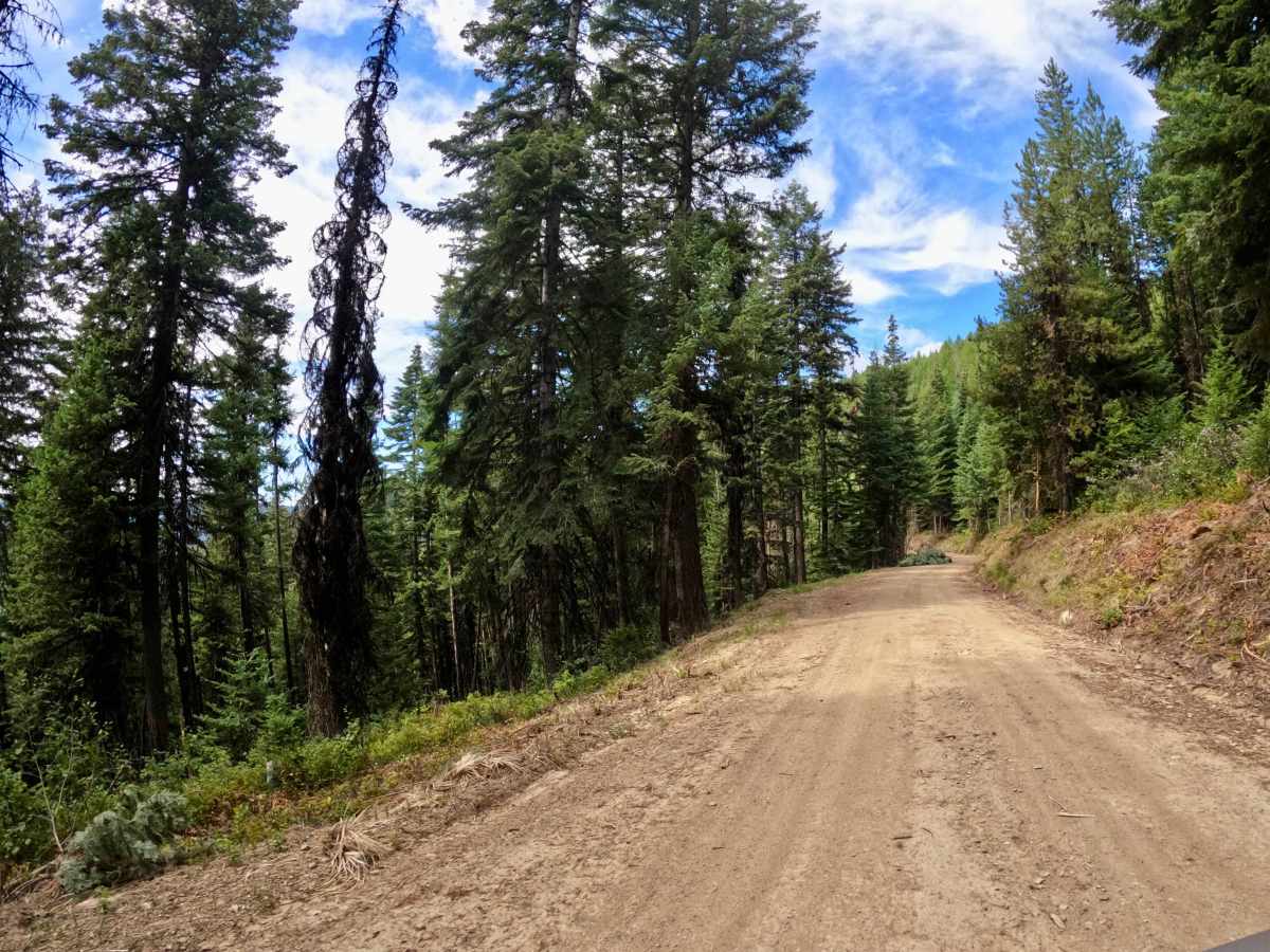 Ward Creek Trail photo 6