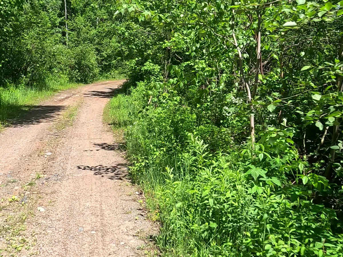 Third Lake Drive photo 6