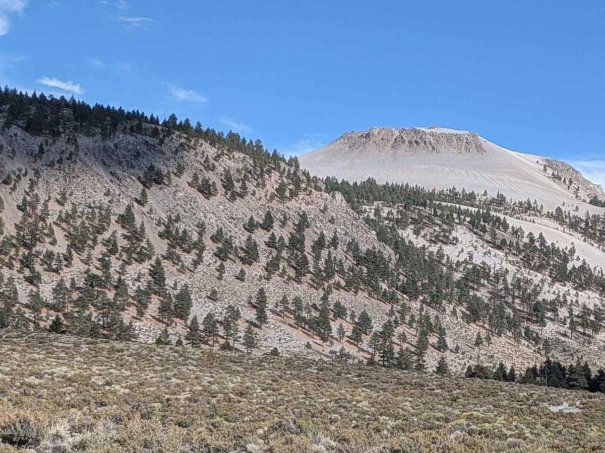 Crater Mountain Flats - FS 1S03 photo 5