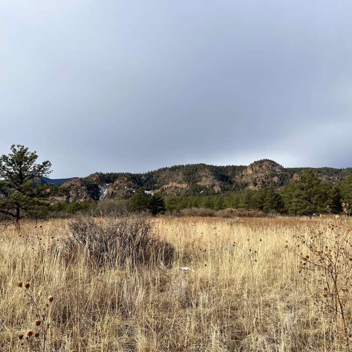 Near Upper Meadows, Ridge, Ponderosa, and Chamberlain Loop