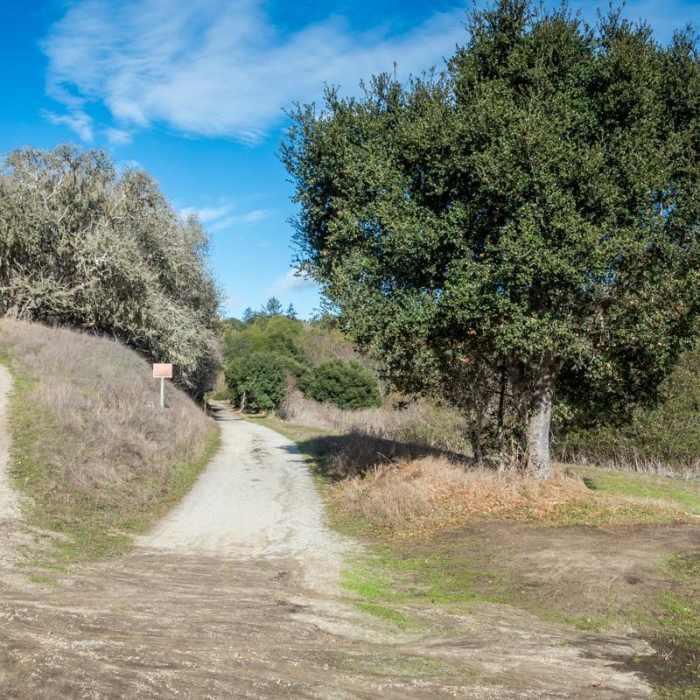 Near Cowboy Hiking Trail