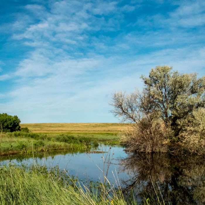 Near Trail of the Mourning Dove Near Trail of the Mourning Dove
