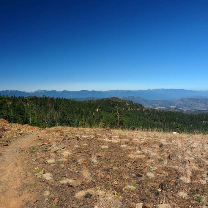 Near Fen Trail #5567