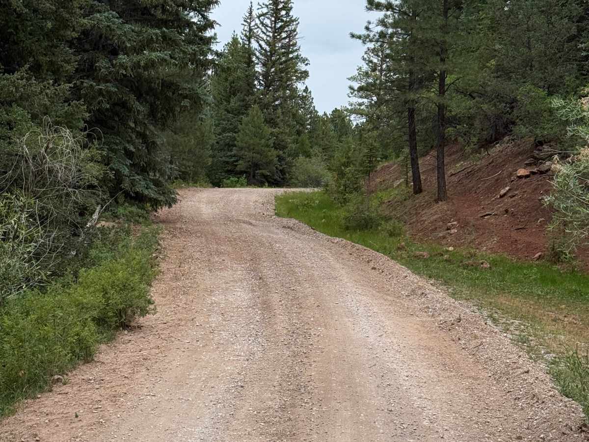Capulin - FS 76 photo 4