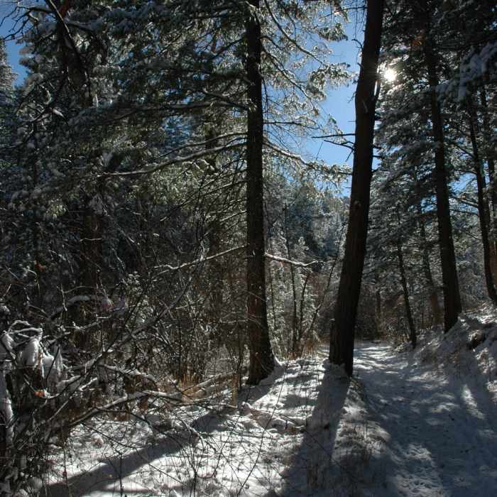 Near Flagstaff Summit Loop