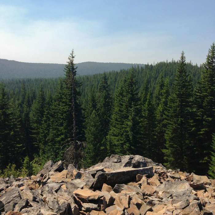 Near Upper Salmon River Trail