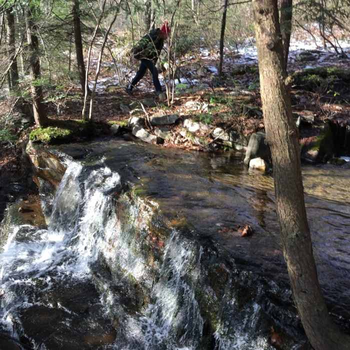 The waterfall on the green trail is quite pretty and would make a great place to take a short dip in summer. Near Bear Creek Preserve Loop