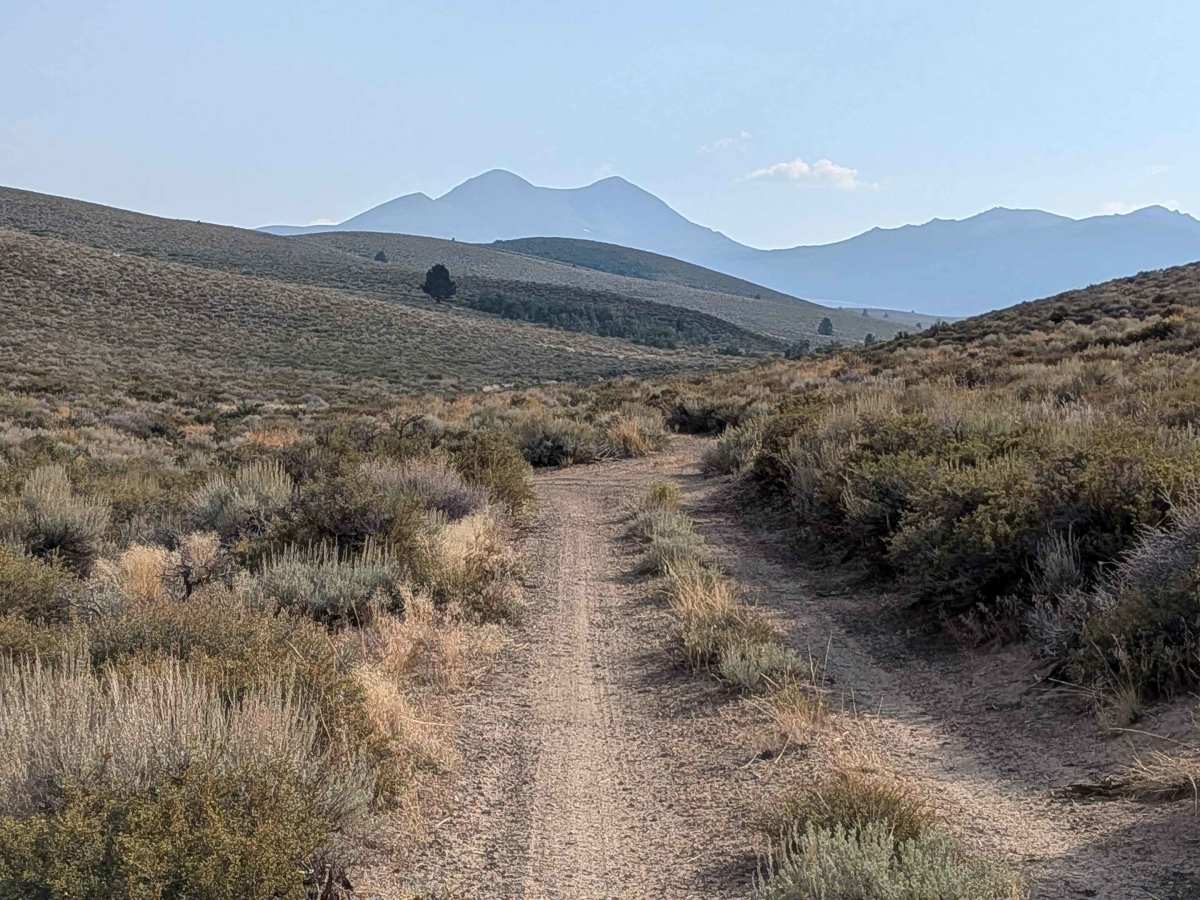 Dog Creek Valley trail photo