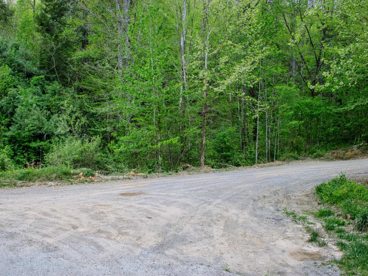 Red Oak Mountain Road photo 2