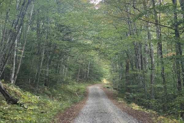 Hubbard Brook Road 