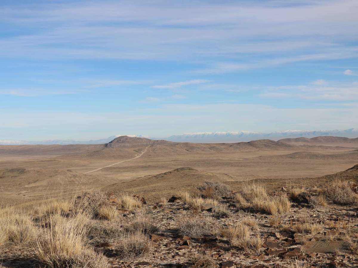 Tumbleweed Lane photo 3