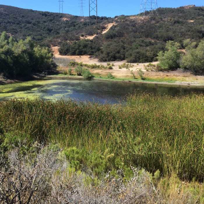 Near Duck Pond Connector Trail