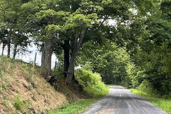Little Dry Hollow