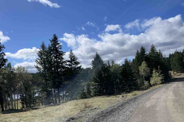 Loon Lake Rd