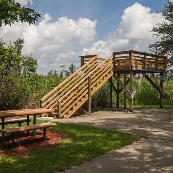 Near JF Gregory Wetlands Loop Near JF Gregory Wetlands Loop