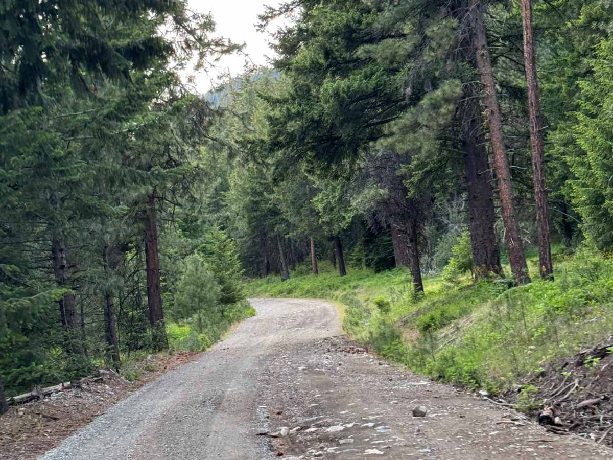 FS 5225-000 trail photo