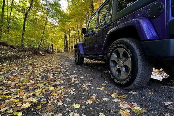 Yankee Springs Loop