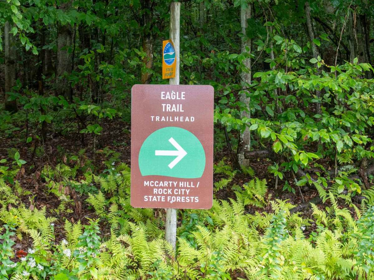 Mutton Hollow Road trail photo