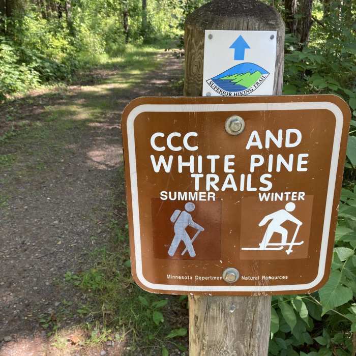 Near White Pine Trail Near White Pine Trail