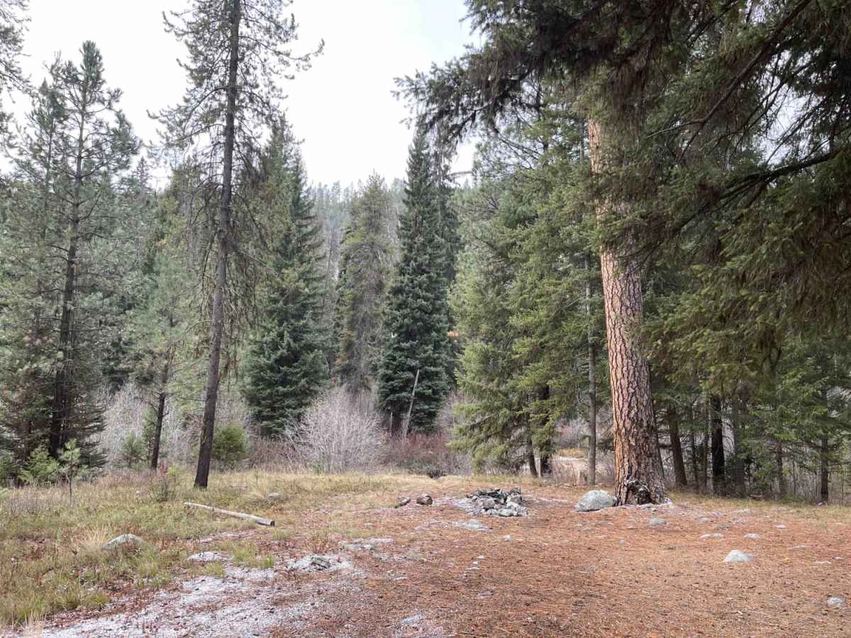 Trapper Trailhead Side Trail photo 4