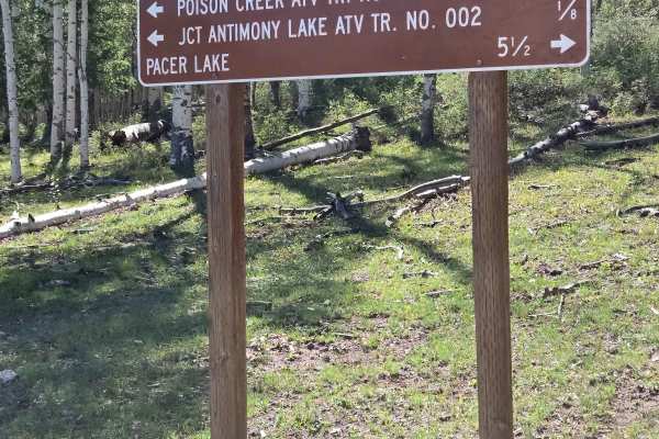 Fred's Trail - FS 31397