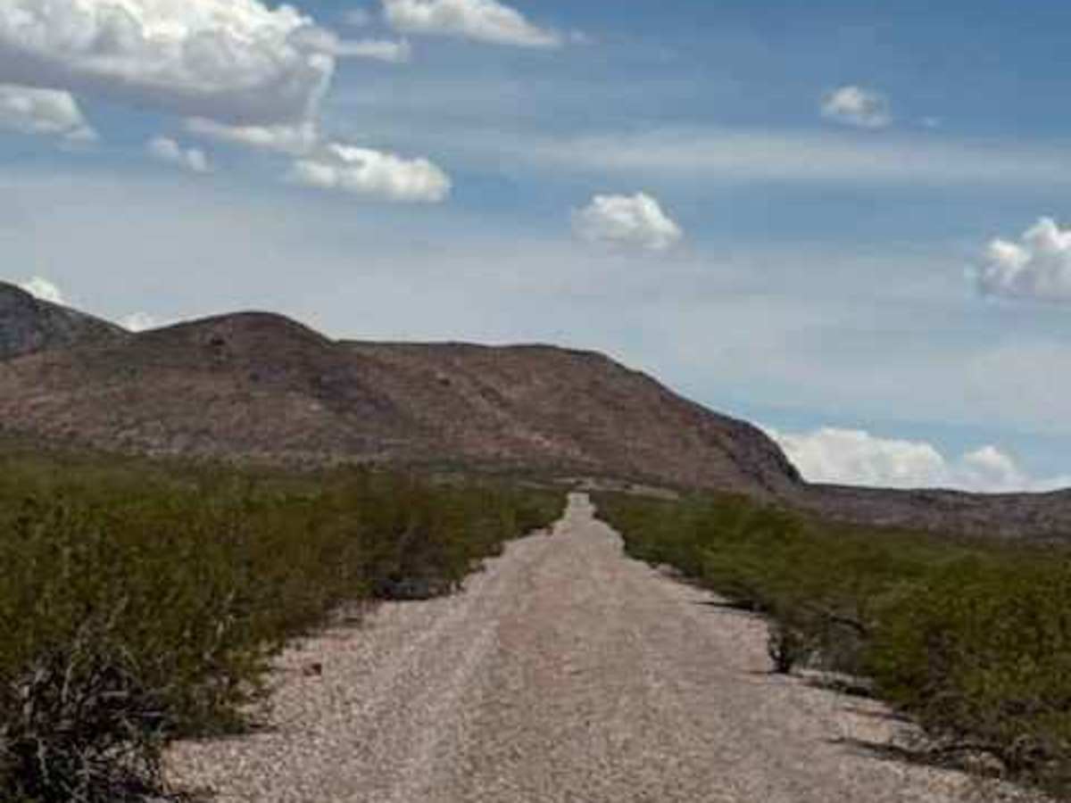 BLM PE1119 photo 5