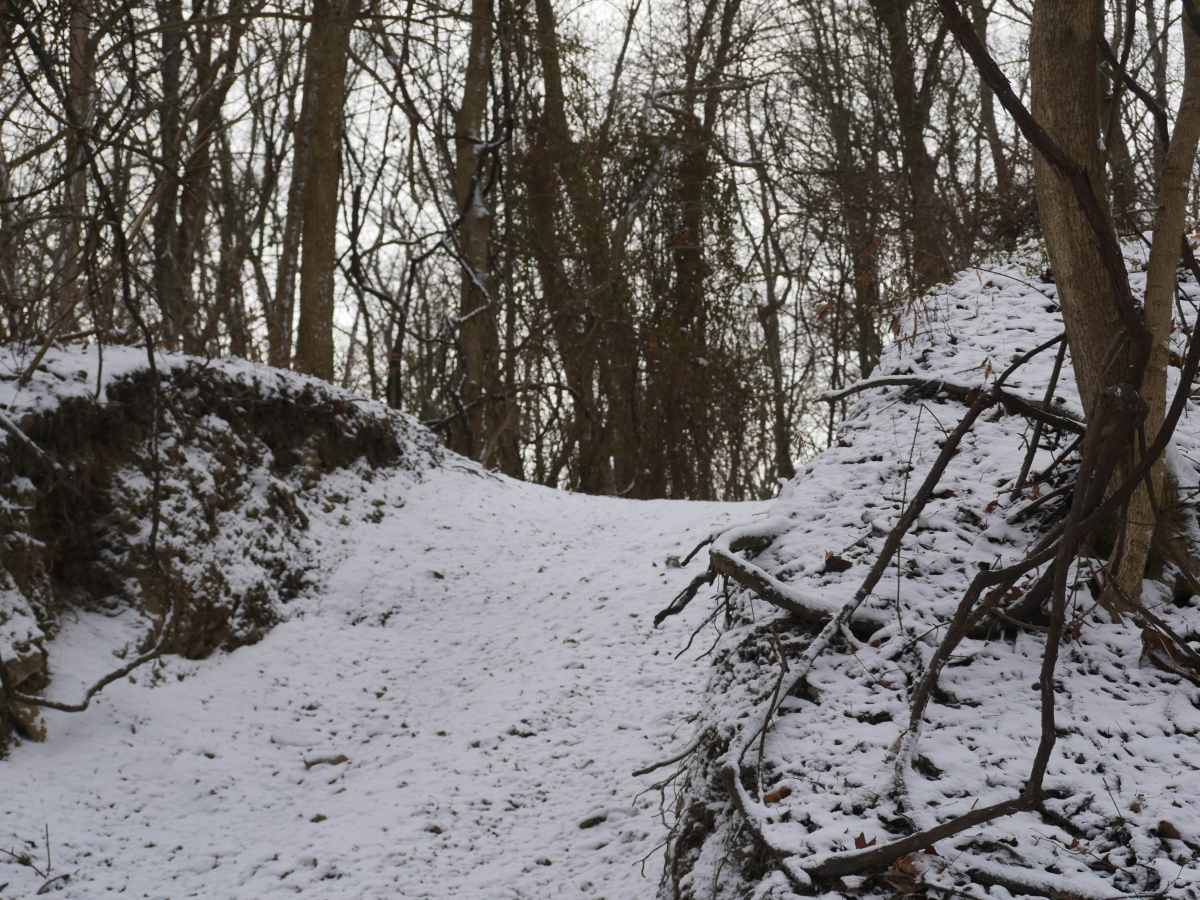 Trail 55 photo 4