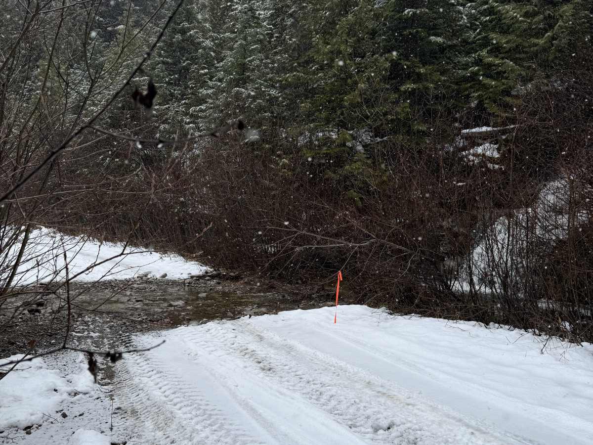 Williams Creek Trail photo 6