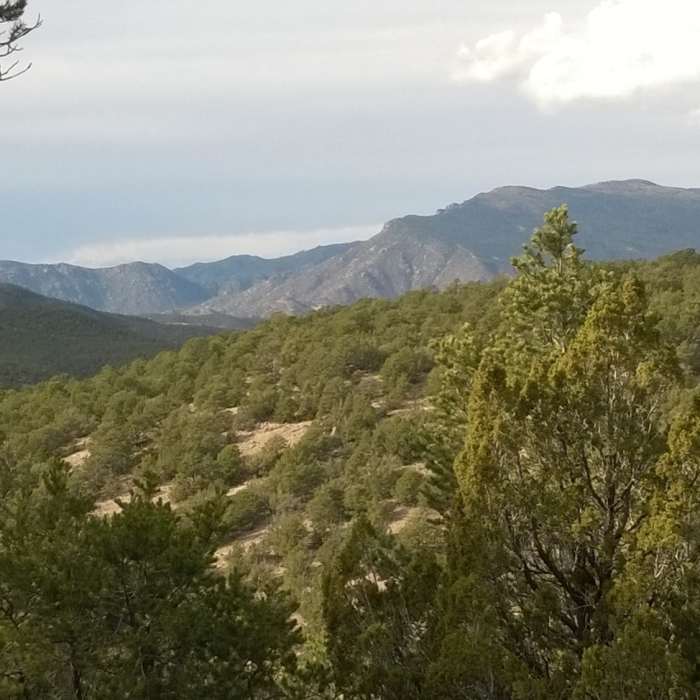 Near Otero Canyon Loop