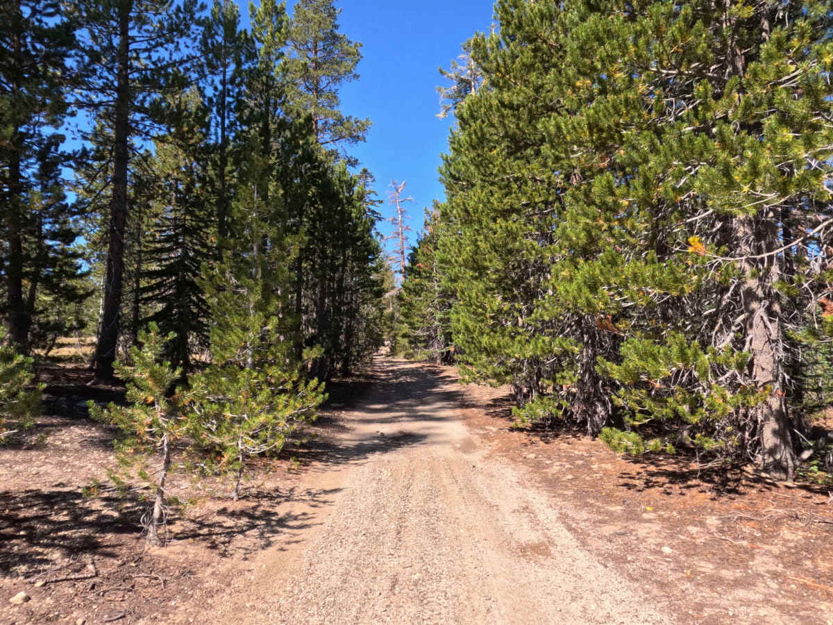 Burnside Lake - FS 31205 photo 5