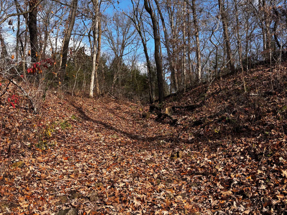 Dropout trail photo