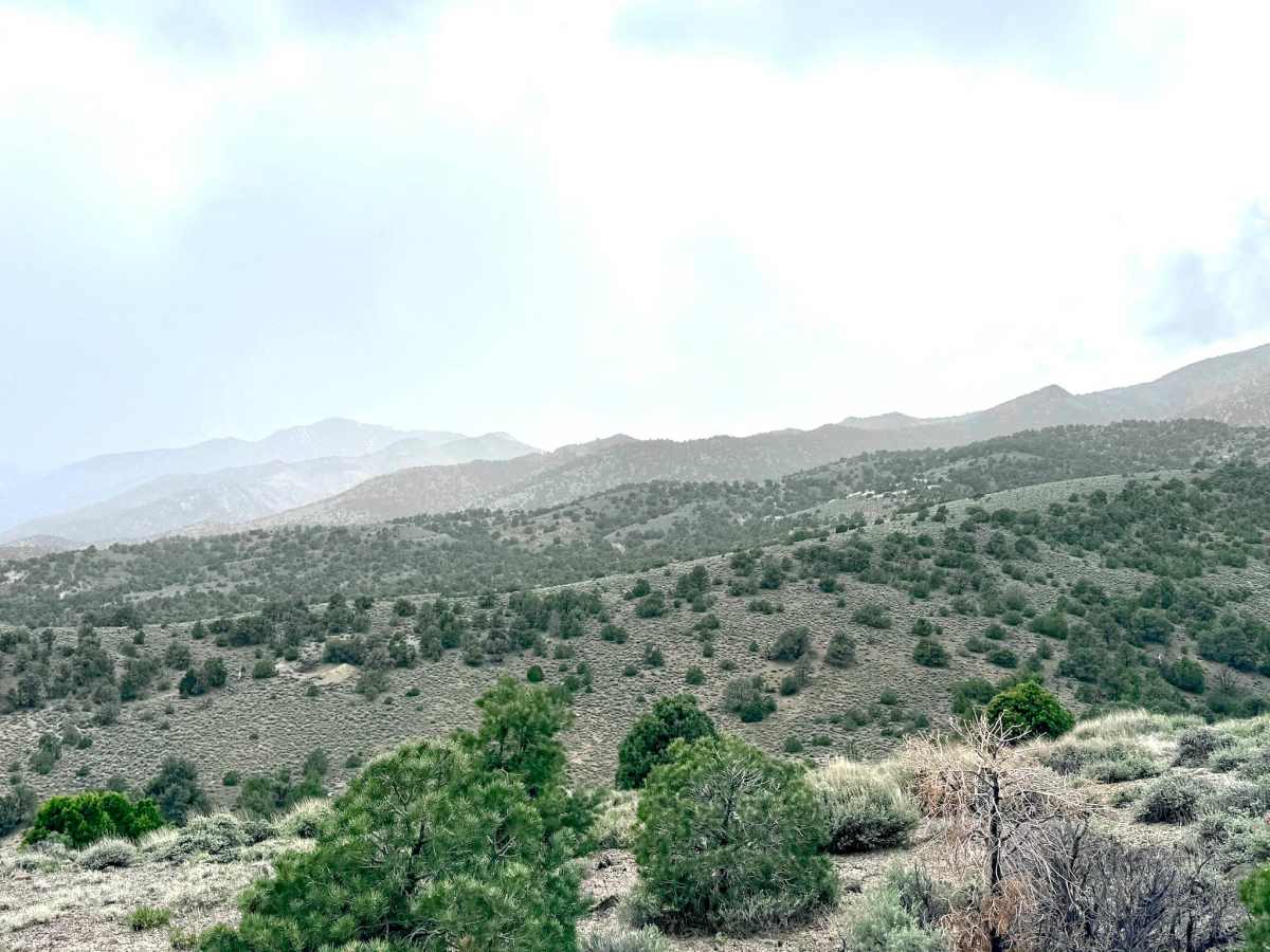 South Lowboy Mine FS43245 photo 2