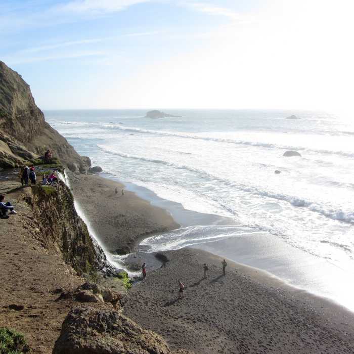 Near Alamere Falls Trail